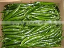 Fresh Egypt Pepper