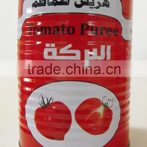 With Brix 28-30%Canned Tomato Paste and Tomato Sauce photo-2