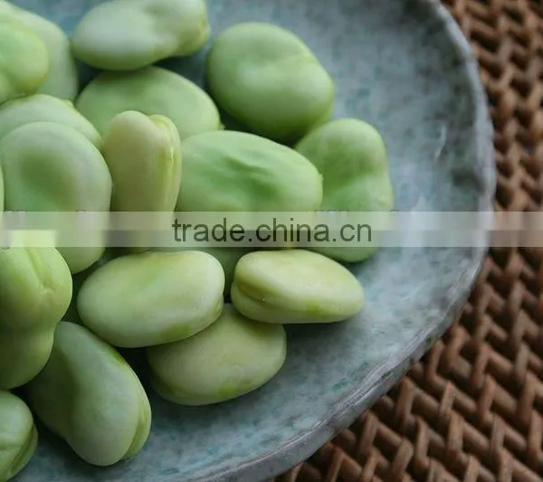 Nutrition Vicia Faba/fava Beans Extract Powder for Sell