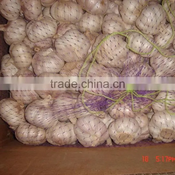 Pure White Garlic Packed in 10kgs/ctn photo-4