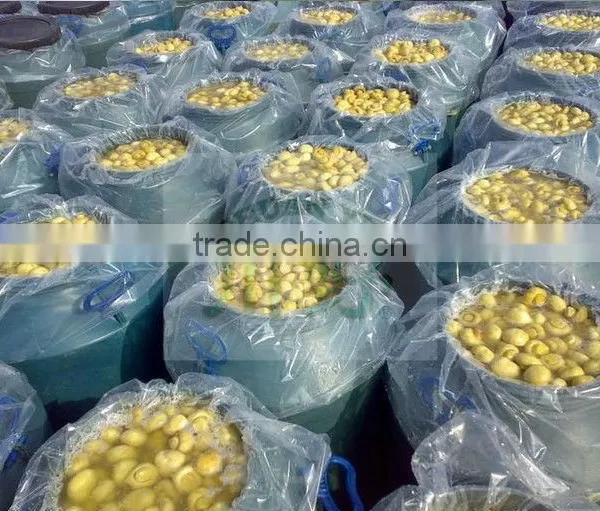 New Crop Salted Champignon Mushroom