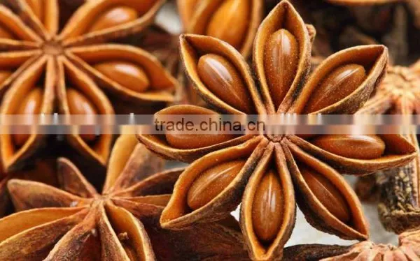Anise Oil photo-2