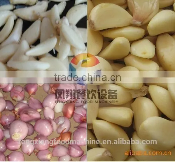 CE Approved Garlic / Small Onion / Indian Garlic Peeling Machine With New Condition photo-6