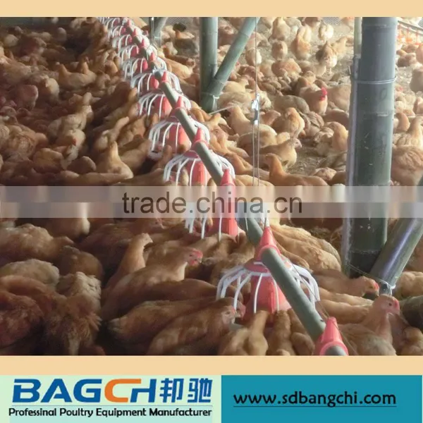 Hot Sale Chicken Farming Equipment/High Quality Automatic Pan Feeding System photo-5