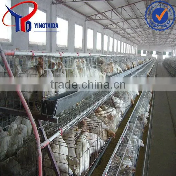 Low Cost A/H Type Chicken Cage