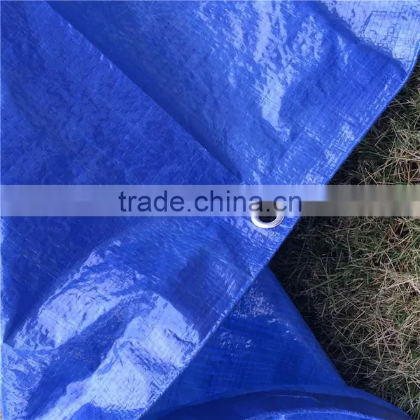 Dust Covers Canvas Tarpaulin Price photo-6