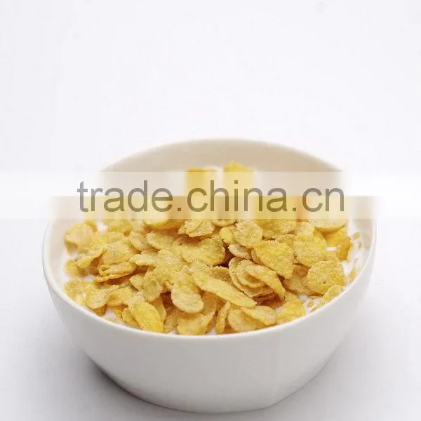 Best Price High-ranking ce Corn Flakes Extruded Machine photo-6