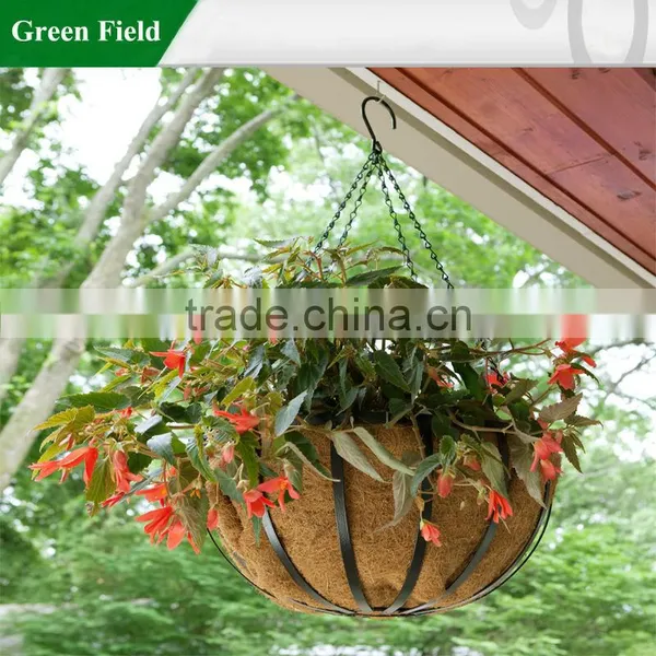 Hanging Basket photo-4