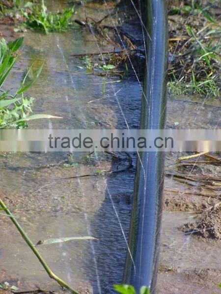 Ground Sprinkler Hose