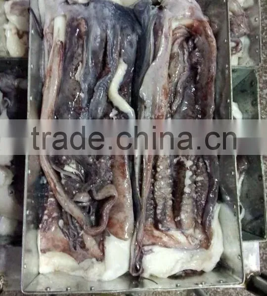 Frozen Raw Giant Squid Tentacle photo-2