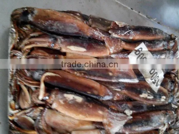 Best Frozen Illex Argentinus Squid Price photo-2