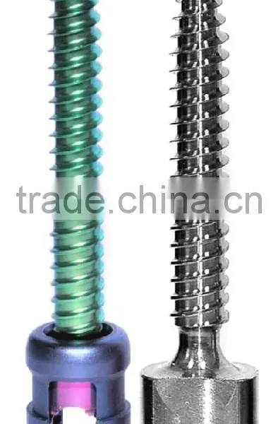 Orthopaedic Implants photo-2