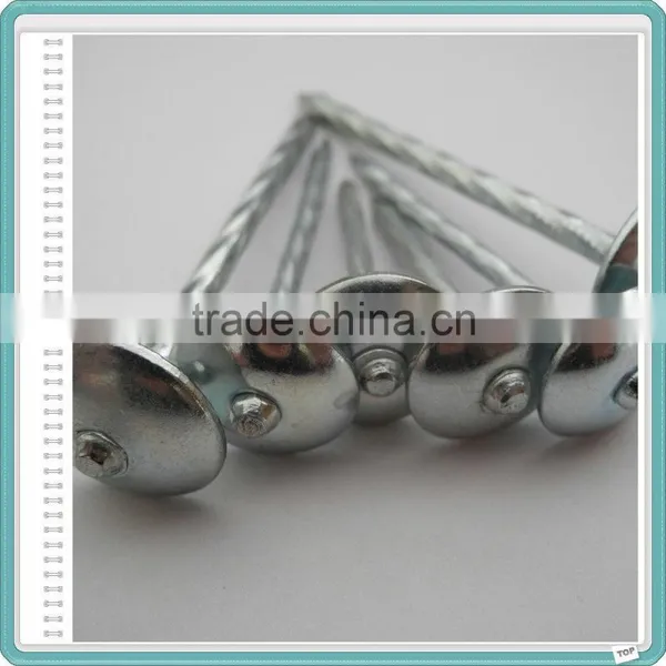50 Jute Bag Roofing Nails photo-4