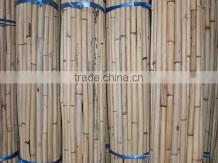 White Malacca, Mantang, Malacca, White Cane, Rattan, Cane, Rattan Cane, Rattan Pole, Pole, Cane Pole photo-4