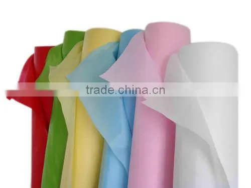 30GSM Film of Spubond Nownoven Cloth