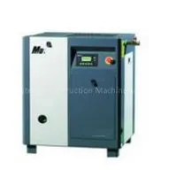 Small Screw Air Compressor Assembly