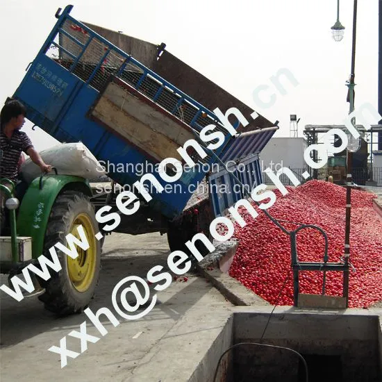 Tomato Paste Production Line With Customized Treatment Capacity photo-2