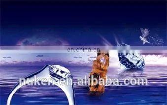 3D Stereo Photographic System for Lenticular Pictures photo-4