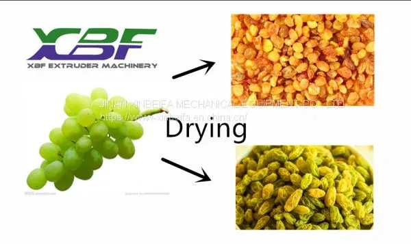 Hot Air Energy Type Grapes Fruit and Vegetable Dryer Machine photo-2
