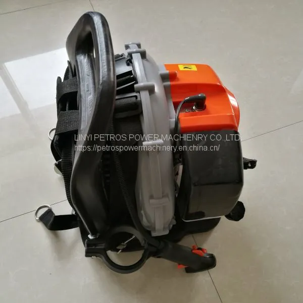 Euro 5Mission Standard Large Wind Engine Blower EB955 photo-4
