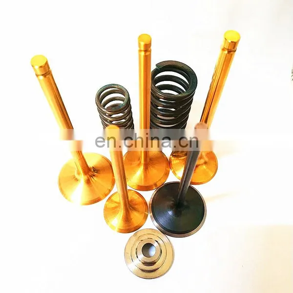 Race Car Parts Customized Inlet Exhaust Engine Valves for Honda/Acura K20 K20A K20A2 K20Z K20Z1 Civic Si RSX 06-11 Type S Guides photo-2