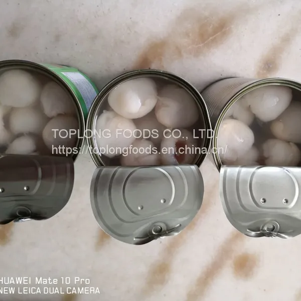 Canned Lychee photo-4