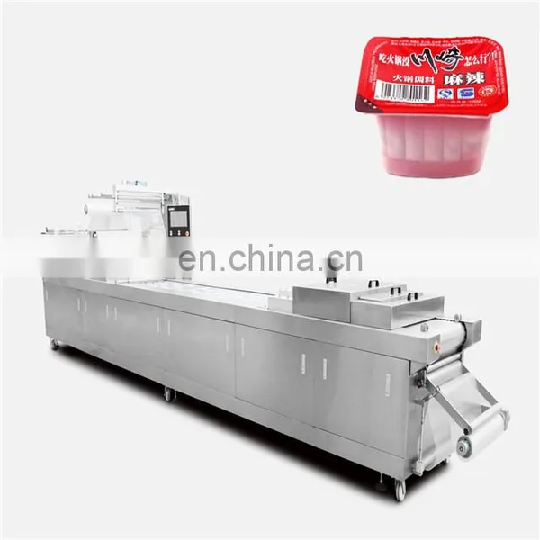 Gas Flushing Type Cheese Thermoforming Vacuum Packaging Machine photo-5