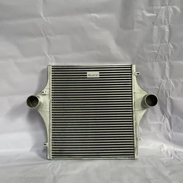 Heavy Duty Truck Intercooler Scania Mercedes-Benz DAF MAN VOLVO HOWO Truck Intercooler photo-3