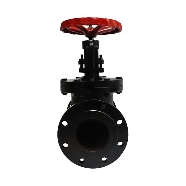 Globe Valve photo-3