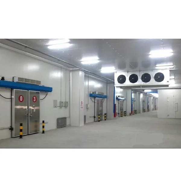 Vegetable/ Fruits /meat/ Beef Quick Freeze Warehouse 200mm