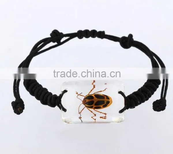 Latest Hippie Bracelet Beads as Promotion Gifts With Real Insect photo-6