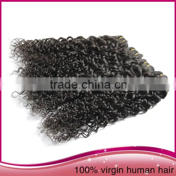 China Supplier Wholesale Kinky Curly Human Hair Weft Unprocessed Brazilian Human Hair Extension photo-6