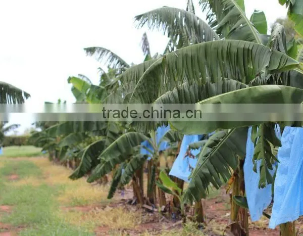Banana Sleeve Bag With Standard Size photo-2