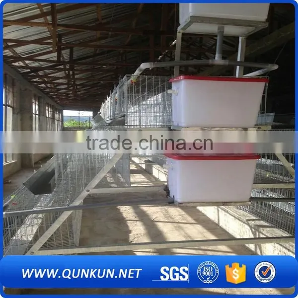 a Type Design Chicken Layer Cages Prices photo-5