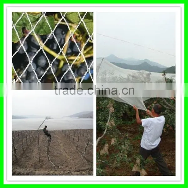 Grape Hail Protection Net/resist Hail Mesh/woven Anti Hail Net photo-6