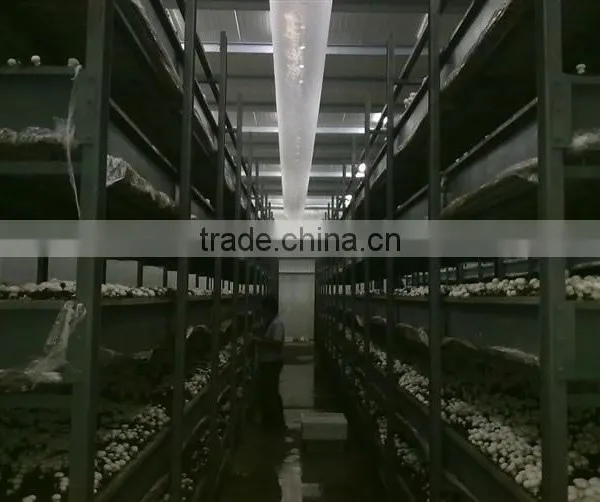 Mushroom Cultivating Net/NET BELT/CULTIVAION CLOTH photo-5