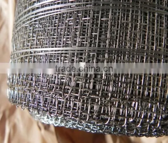Electro Galvanized Weave Wire Netting photo-2