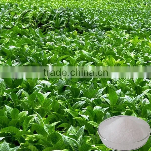 Potassium Agricoles Polyacrylate photo-6