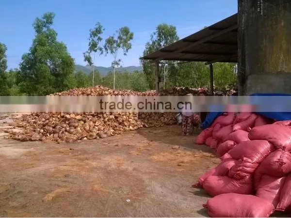 Loose Cocopeat_QQ:2598494113 photo-5