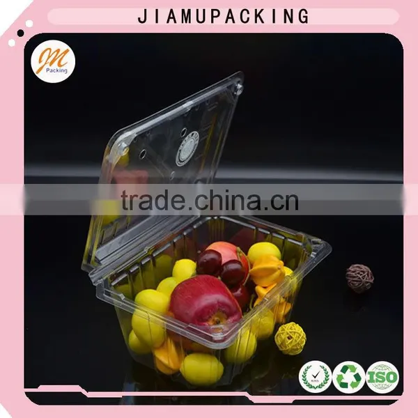 Hot Sale Clear Folding PET Blister Packaging Box photo-3