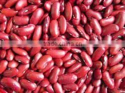 Red Kidney Beans Ethiopia