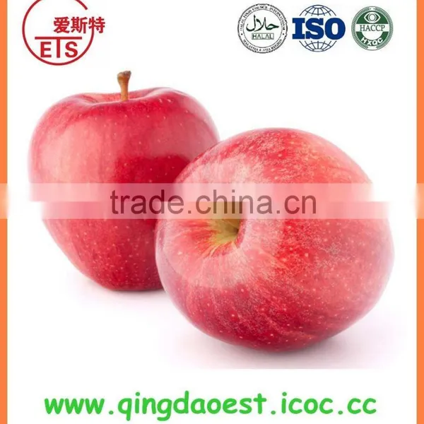 Wholesale 2015 Top Grade Apple photo-4