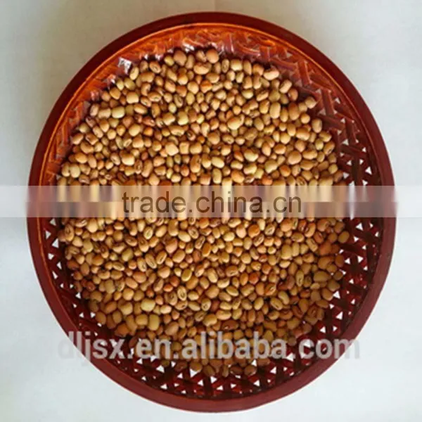 JSX Selected White Cowpeas Grade a Greatest Cowpea Bean photo-3