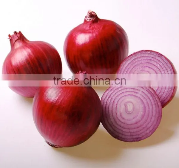 Fresh Red Onion photo-3