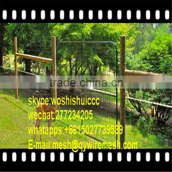 Durable Hot Dip Galvanized Fixed Knot Deer Farm Fence, Field Fence photo-5