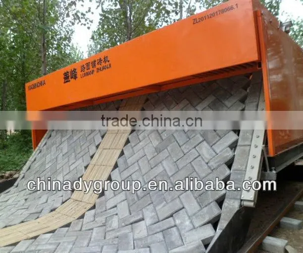 2013 newly host selling DY-6 Tiger stone Brick paving machine from China