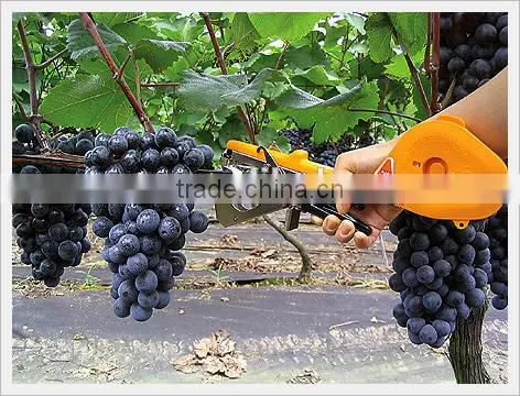 Hand Tying Machine/tapetool Made in China. photo-2