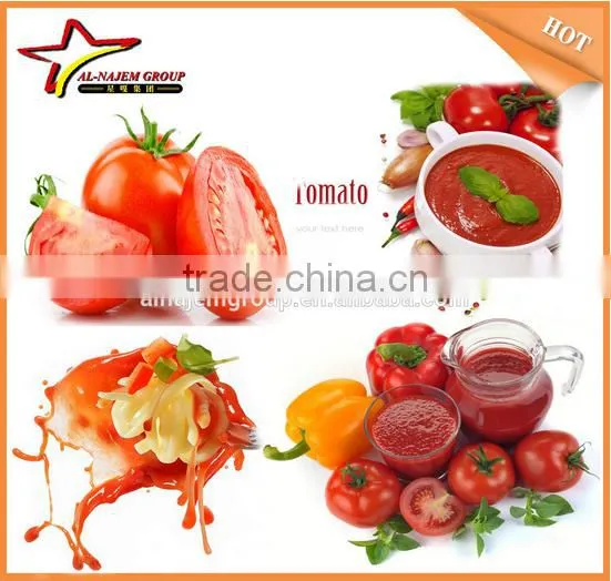 Hot Sale Tomato Sauce Making Machine Industrial Tomato Sauce Machine Industrial Tomato Sauce Machine photo-4