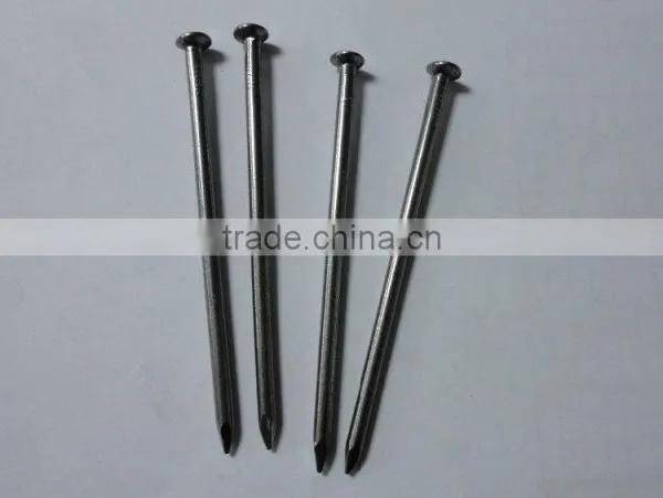 4" Common Nail Beauty Product Iron Nails From China Factory photo-3