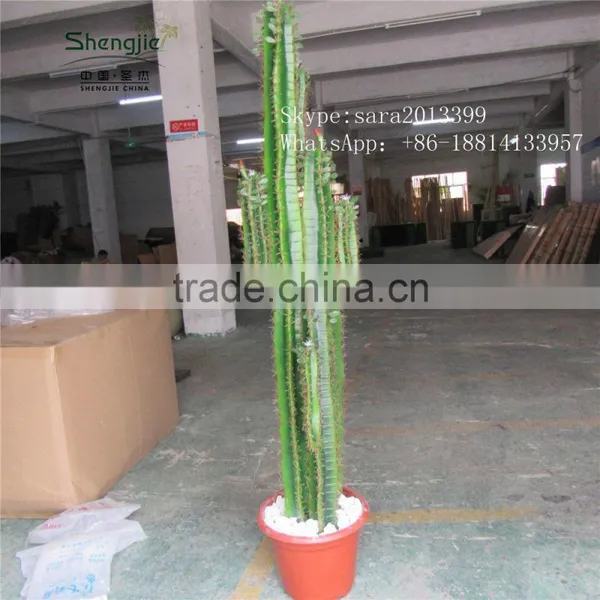 CHY030930 Landscaping Cactus Plant With Flowers/indoor Plastic Succulent Plant photo-4